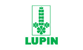 Lupin